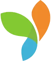 Yii PHP Framework Development Services